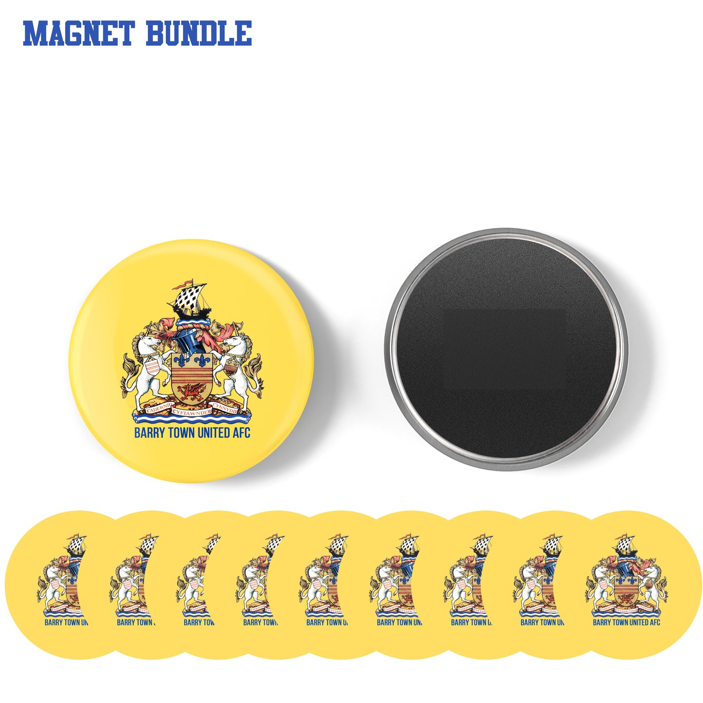 Barry Town Magnets- 10 pack