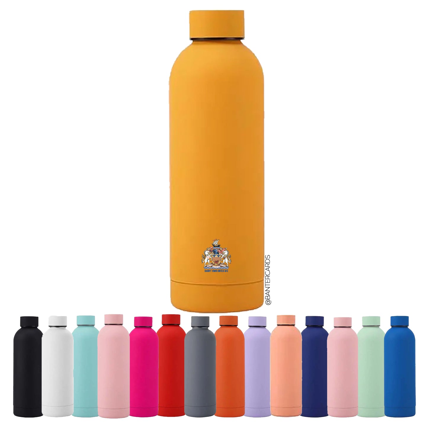 Barry Town - 500ml Stainless Steel Water Bottle